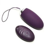 Rimba Venice - Ei Vibrator met Afstandsbediening Paars
