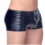 Black Level Vinyl Pants