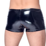 Black Level Vinyl Pants