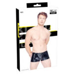 Black Level Vinyl Pants