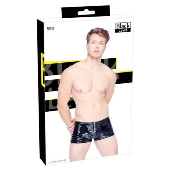 Black Level Vinyl Pants