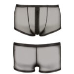 SvenJoyment semi-transparante pants