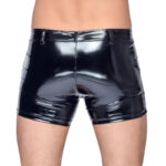 Black Level Vinyl Pants