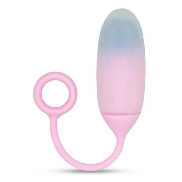 IY Vibrerend Ei met App blauw/paars