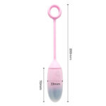 IY Vibrerend Ei met App blauw/paars