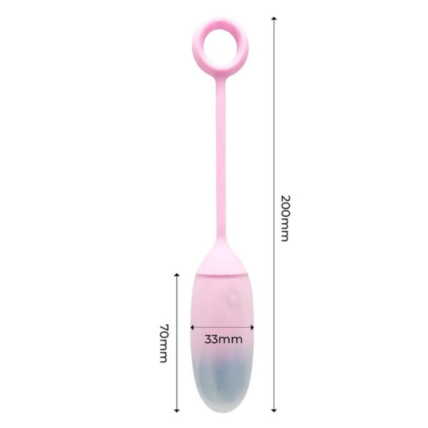 IY Vibrerend Ei met App blauw/paars