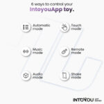 IY Vibrerend Ei met App blauw/paars