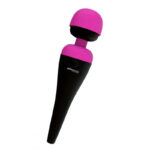 Palm Power Wand massager recharge
