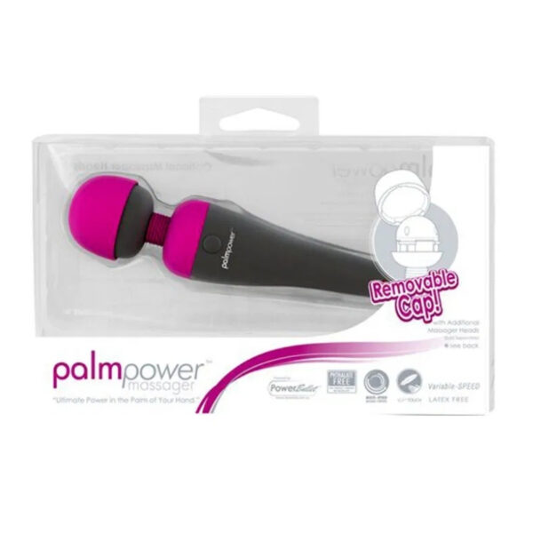 Palm Power Wand massager