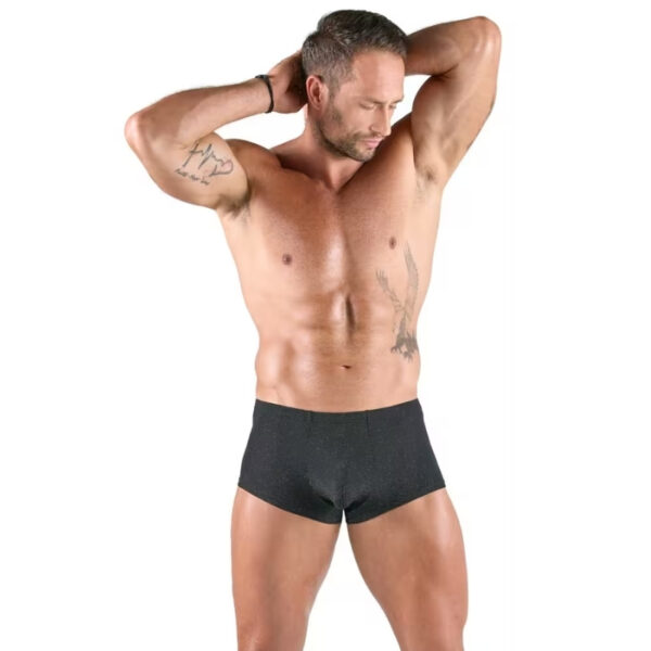 Svenjoyment pants Lurexlook