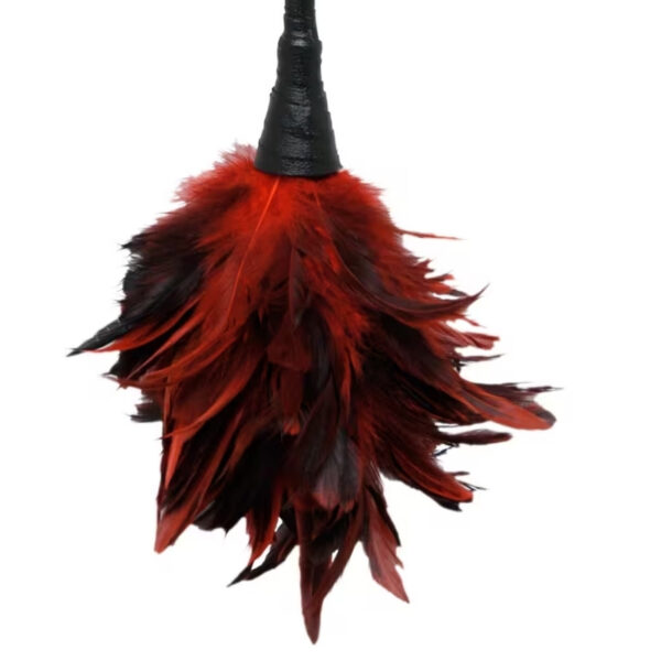 Frisky Feather duster Red
