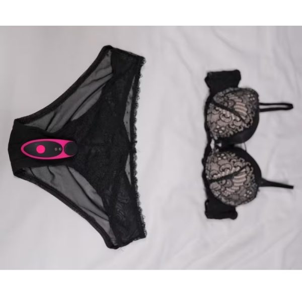 Lovense Ferri - Panty vibe